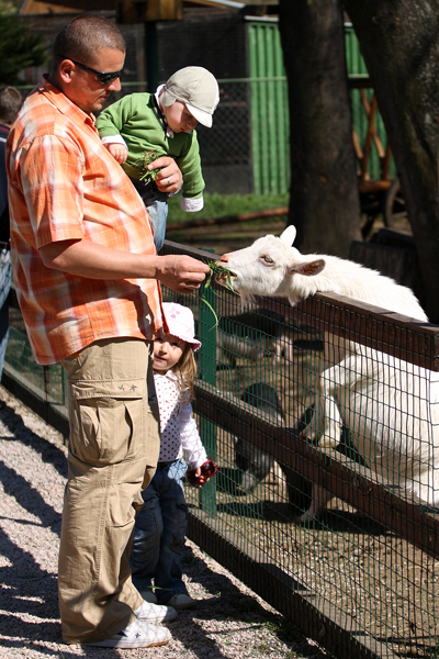 zoo18.jpg