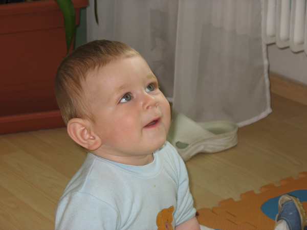 IMG_8285.jpg