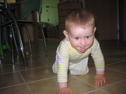 IMG_8542.jpg
