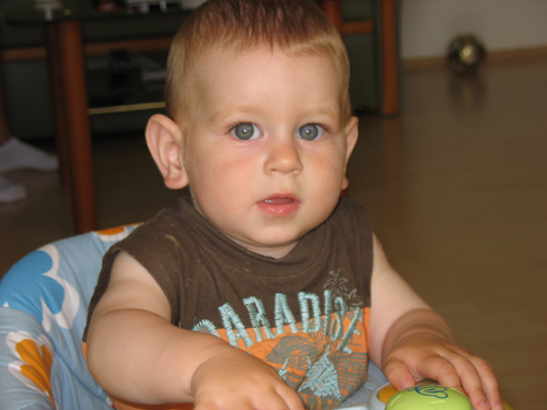 IMG_8795.jpg