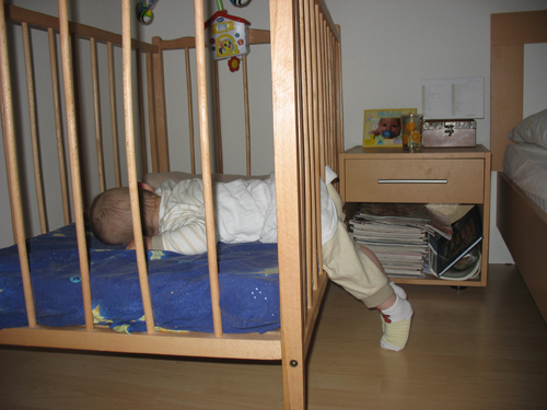 IMG_8934.jpg